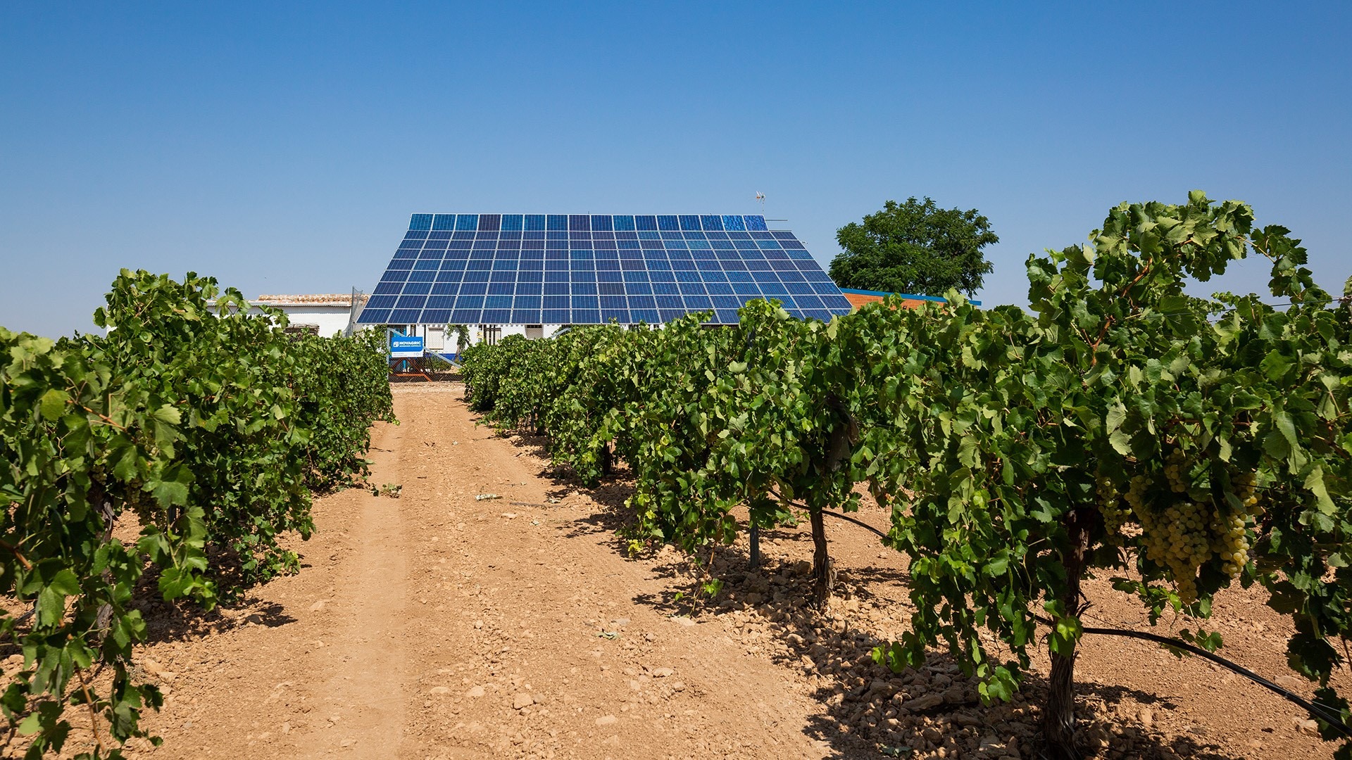 novagric viña panel solar|novagric viña panel solar